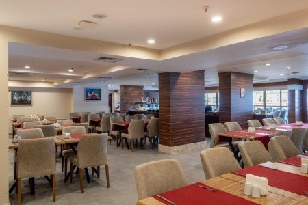 Viking Express Hotel (Ex. Viking Suite) - 11