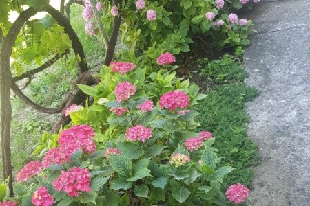 Apartmány 3298-1476 - 25