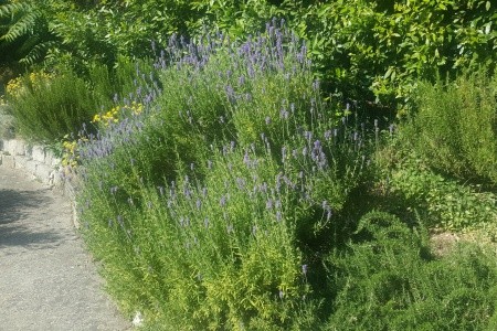 Apartmány 3298-1476 - 29