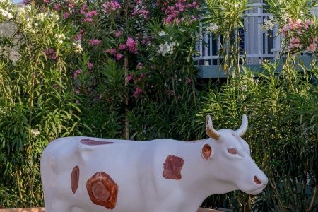 Eri Beach & Village - 219