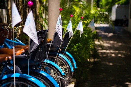 The Reef Coco Beach - 33