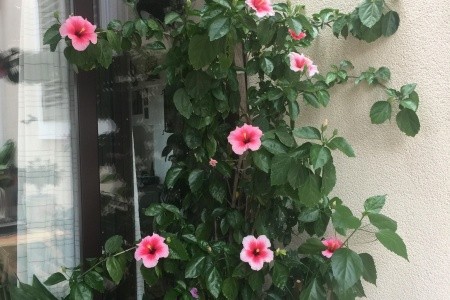 Apartmány 3298-549 - 49