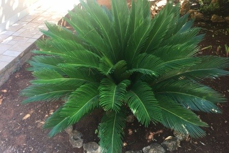 Apartmány 3298-549 - 50