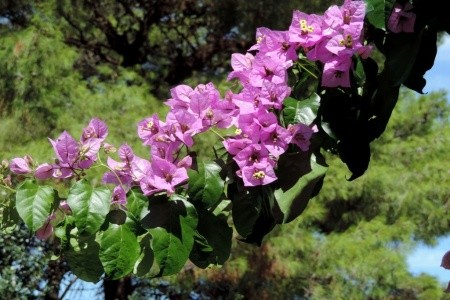 Apartmány 3298-549 - 51