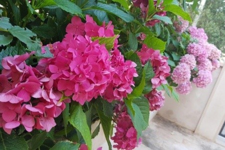 Apartmány 3298-549 - 52