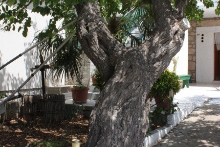 Apartmány 3298-1853 - 11