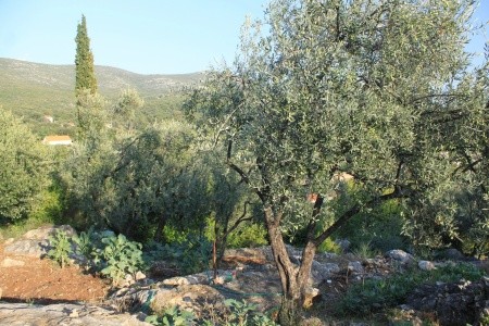 Apartmány 3298-1942 - 26