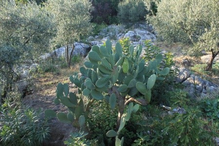 Apartmány 3298-1942 - 27