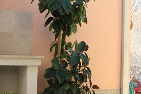 Apartmány 3298-1642 - 31