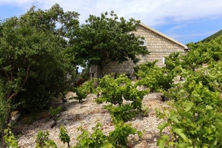 Prázdninový Dům 3298-173 - 9