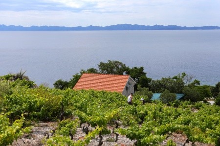 Prázdninový Dům 3298-173 - 2