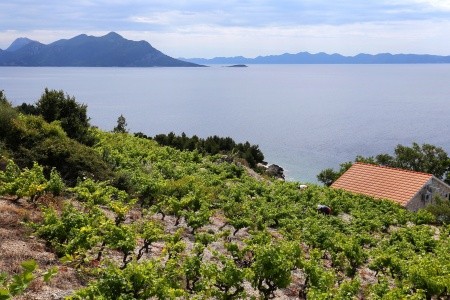 Prázdninový Dům 3298-173 - 3