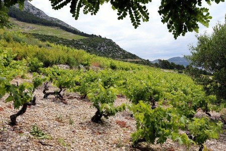 Prázdninový Dům 3298-173 - 4