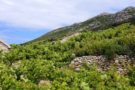 Prázdninový Dům 3298-173 - 5