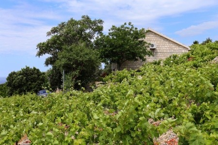 Prázdninový Dům 3298-173 - 6