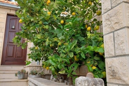 Apartmány 3298-184 - 4