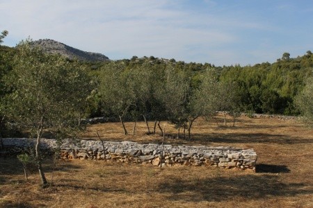 Robinzonáda 3298-1819 - 3