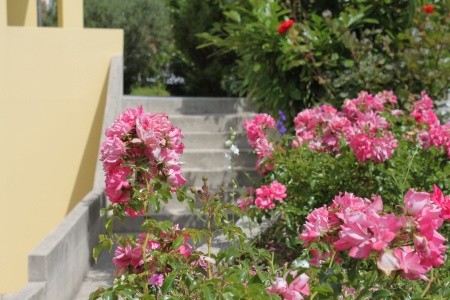 Apartmány 3298-642 - 46