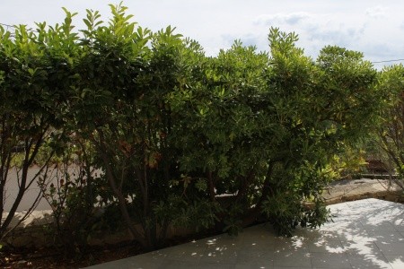 Apartmány 3298-642 - 1