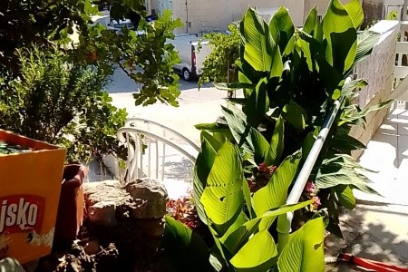 Apartmány 3298-188 - 6