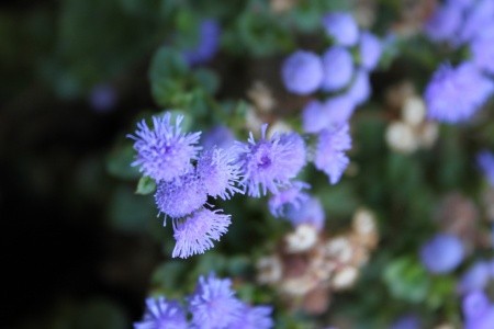 Apartmány 3298-1537 - 24