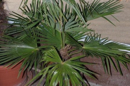 Apartmány 3298-1537 - 25