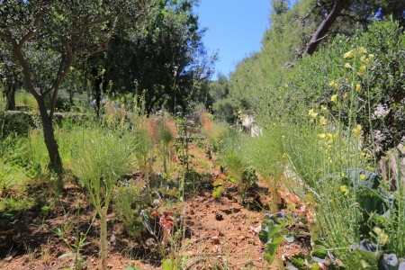 Robinzonáda 3298N-7613 - 25