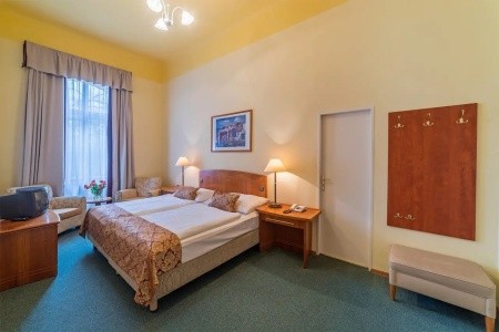 Lázeňský Hotel Belvedere - 9