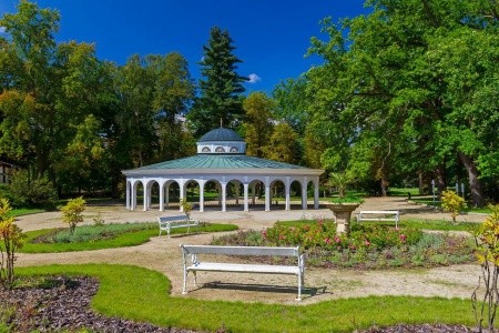 Lázeňský Hotel Belvedere - 30