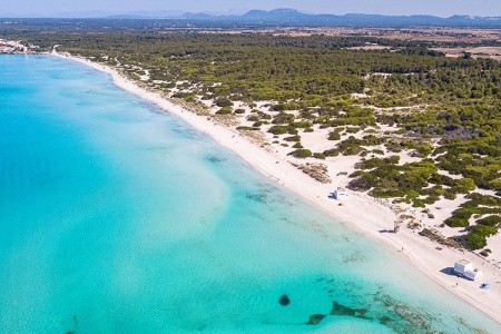 Španielsko Mallorca Blau Colonia Sant Jordi Resort 14 dňový pobyt Polpenzia Letecky Letisko: Praha July 2026 ( 7/07/26-20/07/26)