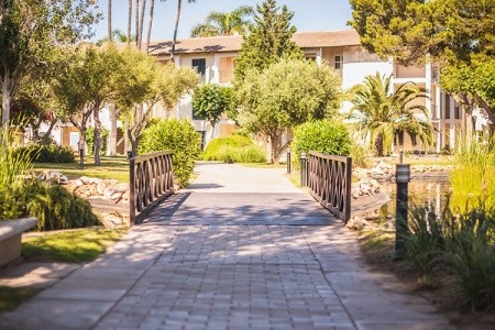 Španielsko Mallorca Blau Colonia Sant Jordi Resort 14 dňový pobyt Polpenzia Letecky Letisko: Praha July 2026 ( 7/07/26-20/07/26)