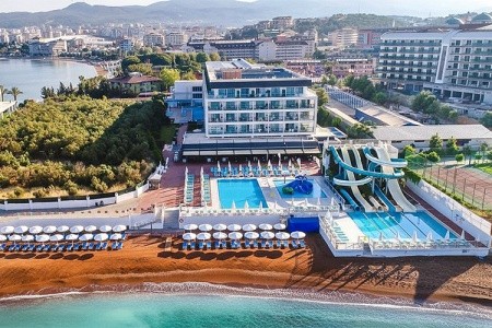 Lonicera West (Ex.gold Island Mondo) - 3