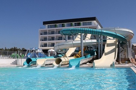 Lonicera West (Ex.gold Island Mondo) - 5