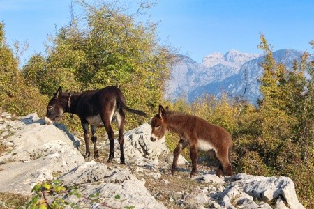 Pěšky severní Albánií - Prokleté hory, odlet z Katovic - 12