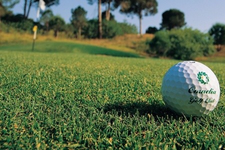 Cornelia Azure Villas - 49