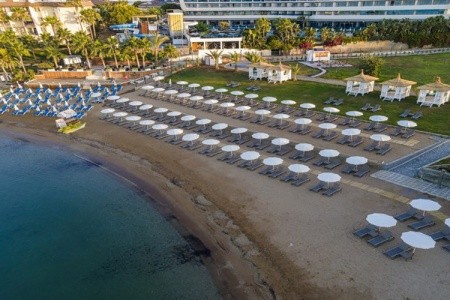 Lonicera Premium - 3