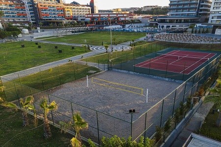 Lonicera Premium - 14