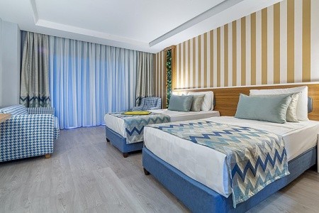 Lonicera Premium - 15