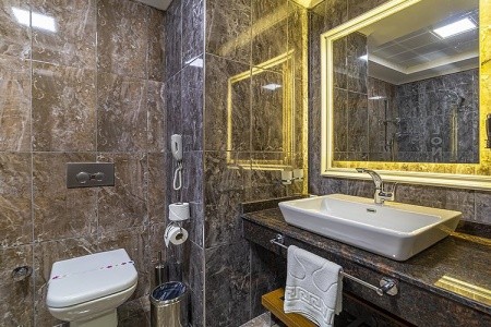 Lonicera Premium - 18