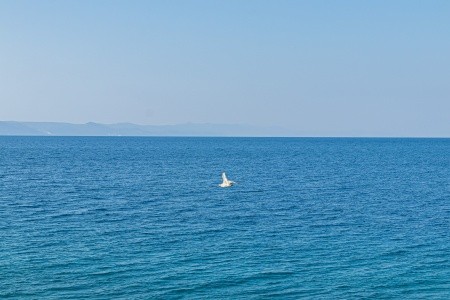 Apartmány 3298-1459 - 77