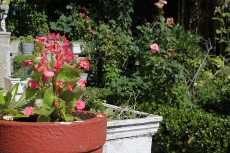 Apartmány 3298-1726 - 18