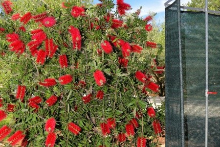 Apartmány 3298-788 - 25