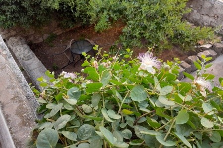 Apartmány 3298-2850 - 12