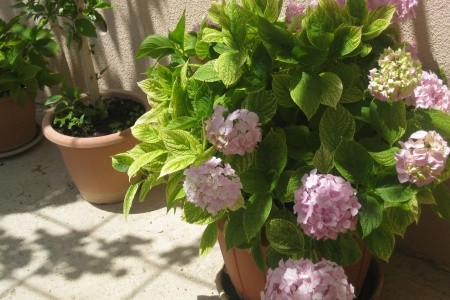 Apartmány 3298-6400 - 58