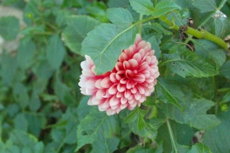 Apartmány 3298-195 - 4