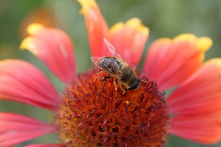 Apartmány 3298-1482 - 58