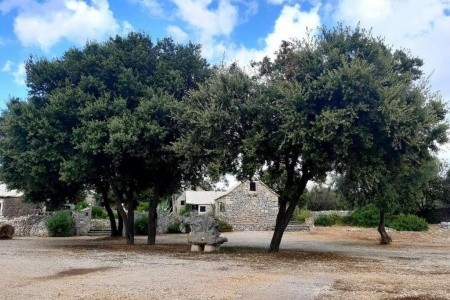 Pokoje 3298N-8330 - 11