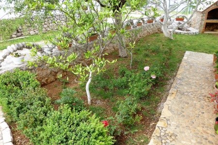 Apartmány 3298N-8416 - 6