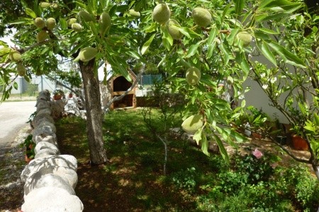 Apartmány 3298N-8416 - 12