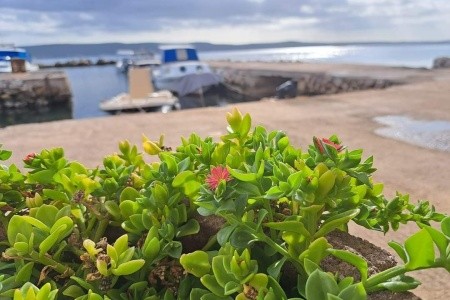 Apartmány 3298-1903 - 15